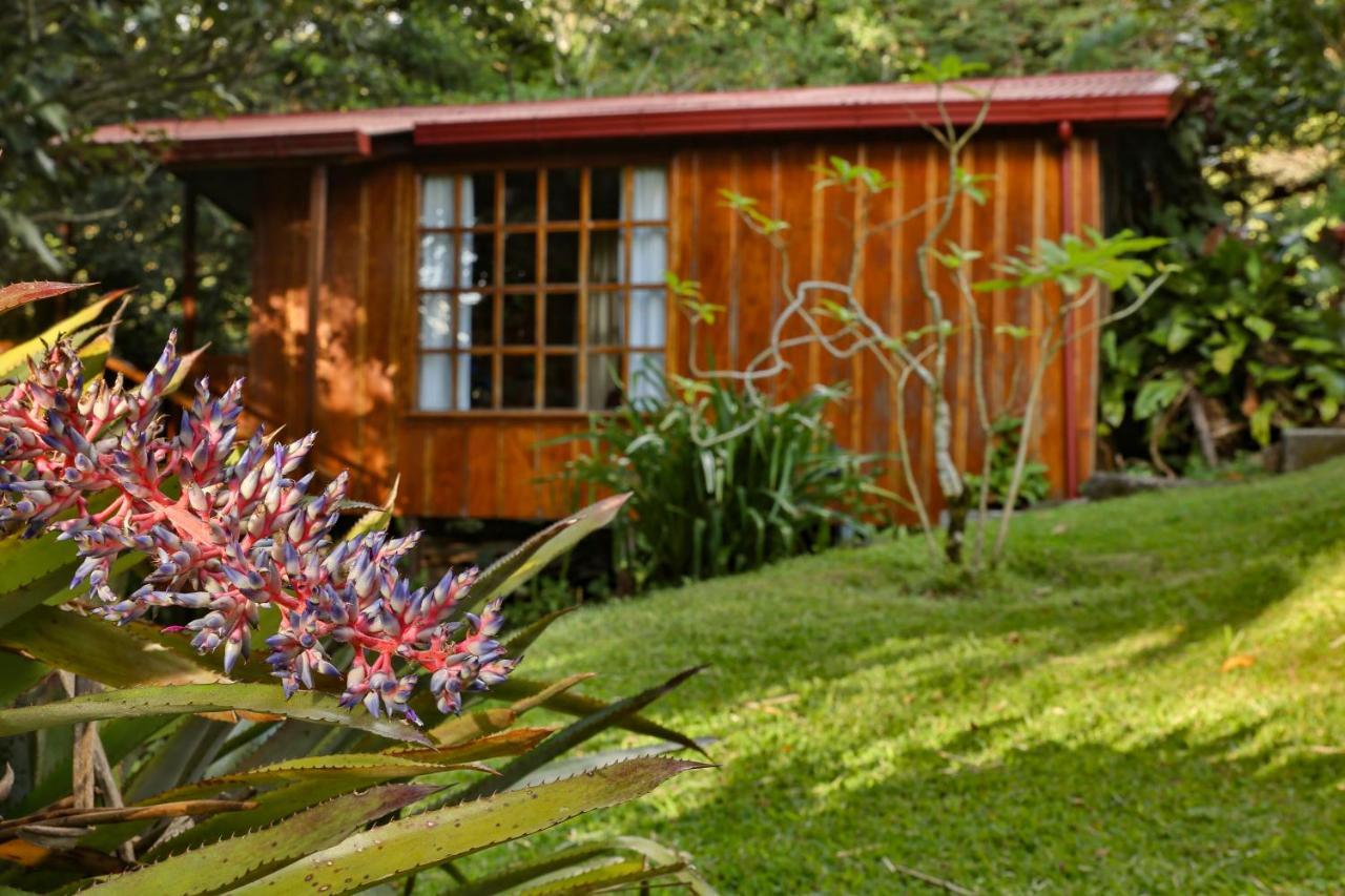 Arco Iris Lodge Monteverde Esterno foto
